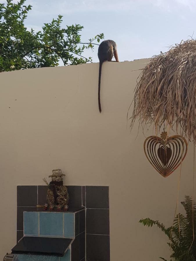 Mandinka Lodge Kololi Exterior foto